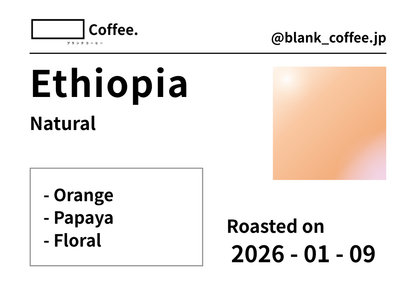 浅煎り Blank_Coffee 選べる豆 100g 送料無料