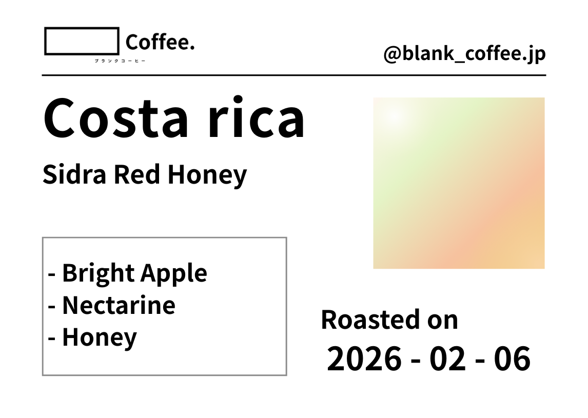 浅煎り Blank_Coffee 選べる豆 100g 送料無料