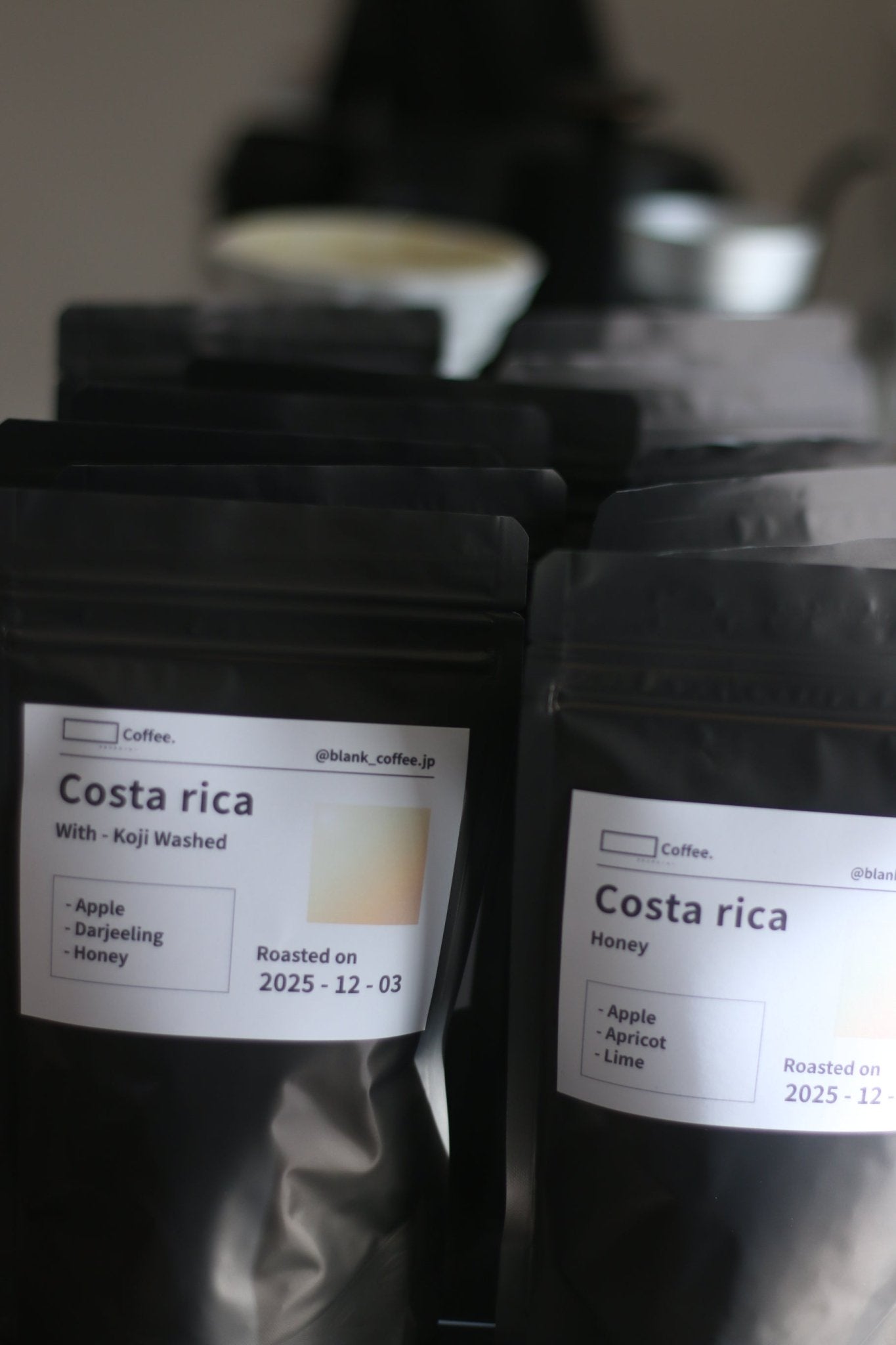 浅煎り Blank_Coffee お得なランダムビーンズ100g 送料無料 - Blank_Coffee