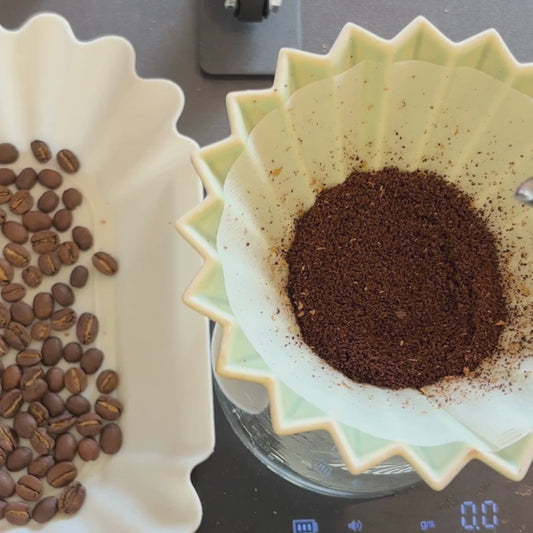 【中煎り~中深煎り】Blank_Coffee ランダム100g 送料無料
